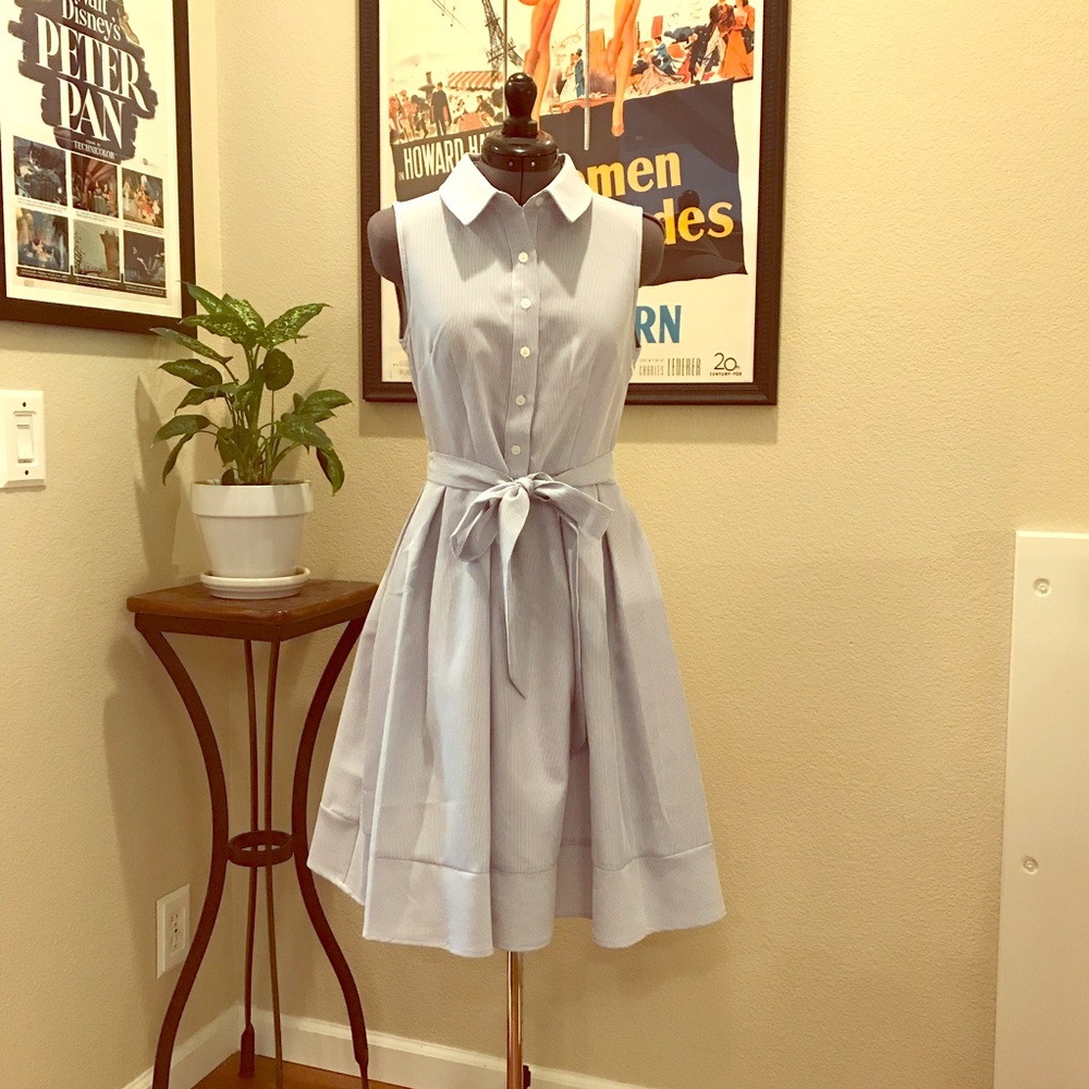 NWOT blue & white stripe dress
